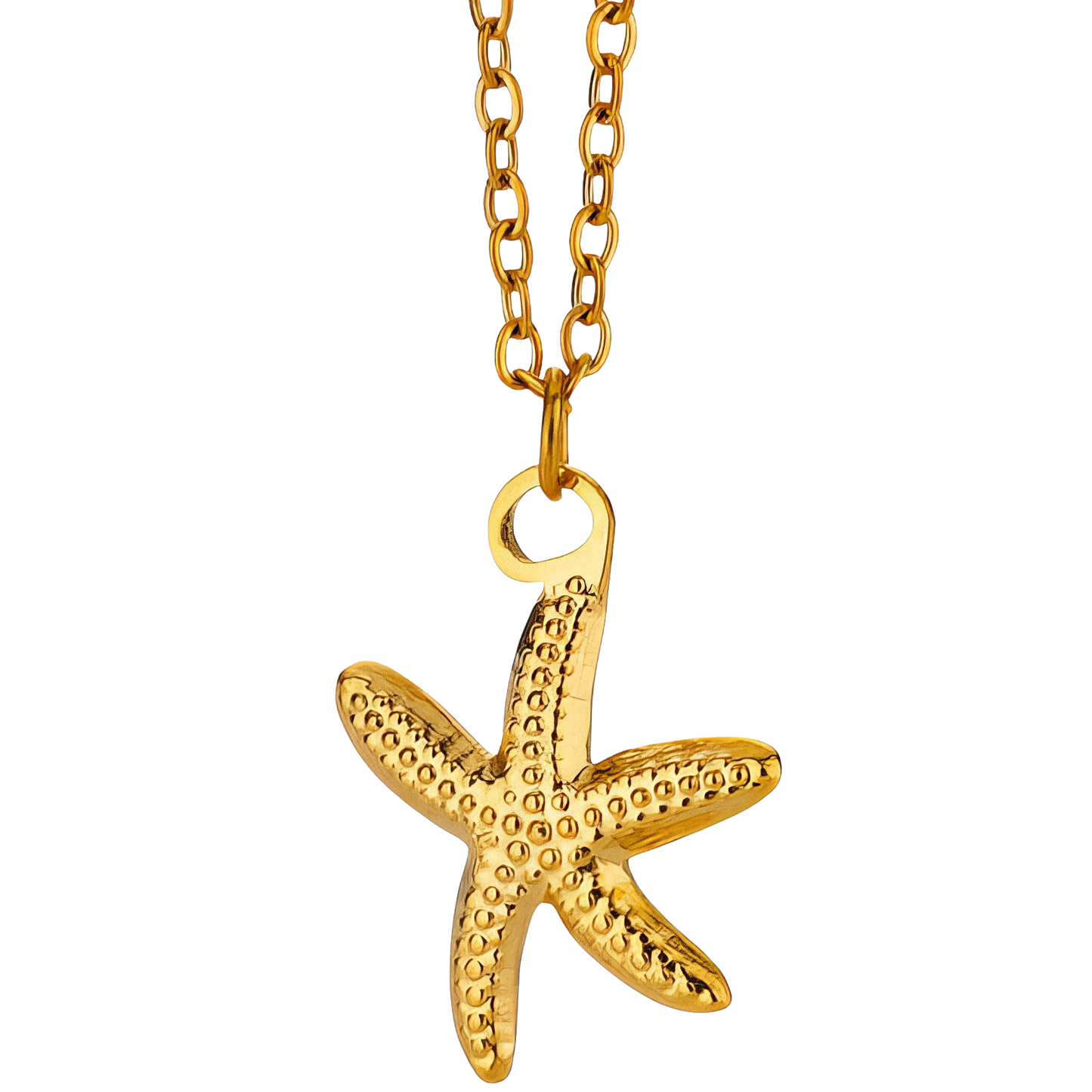 Starfish Necklace